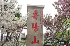 西安高橋墓園怎么樣環(huán)境、風(fēng)水好嗎