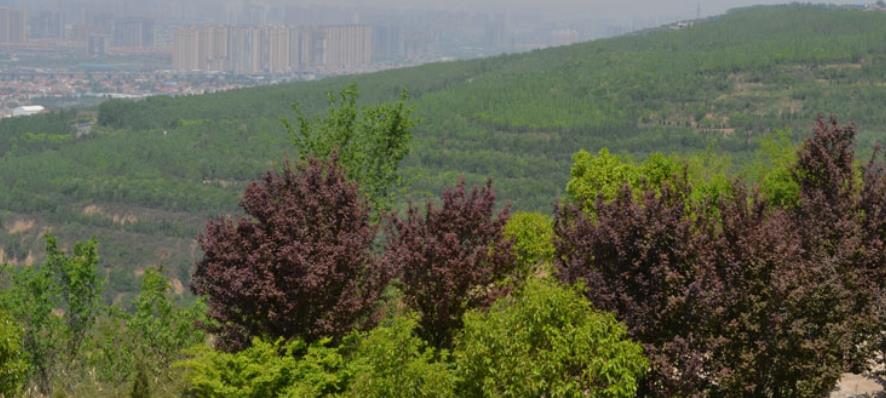 西安高橋墓園怎么樣風(fēng)水好嗎？