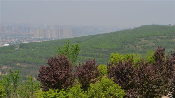 西安市高橋骨灰墓園生態(tài)藝術(shù)園區(qū)