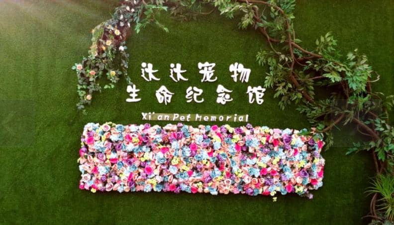 西安寵物墓地價(jià)格？西安寵物墓地在哪里？