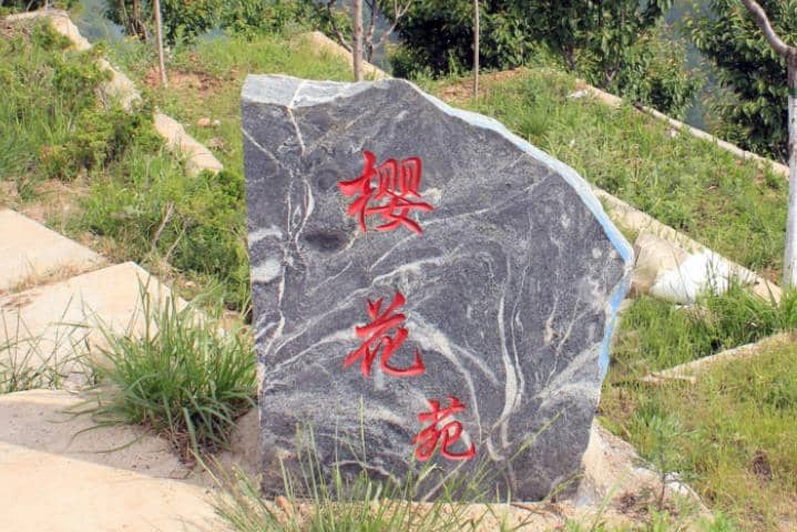 西安壽陽山公墓櫻花苑區(qū)域