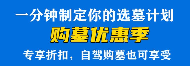 購墓指導(dǎo)、方案策劃