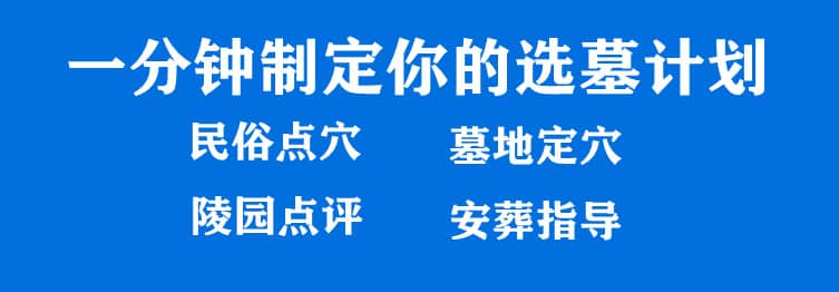 購墓指導(dǎo)、方案策劃