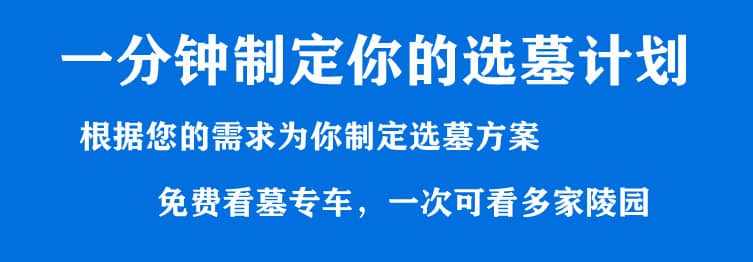 購墓指導(dǎo)、方案策劃