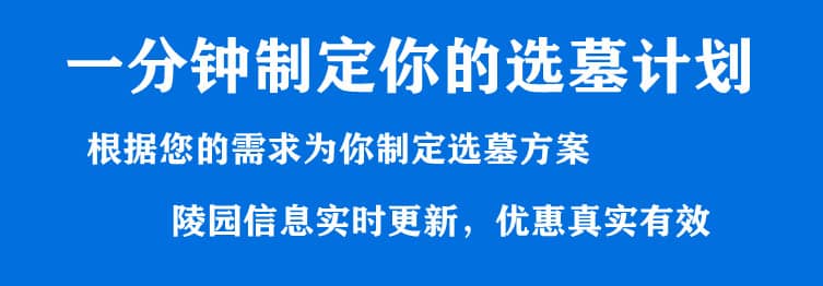 購墓指導(dǎo)、方案策劃