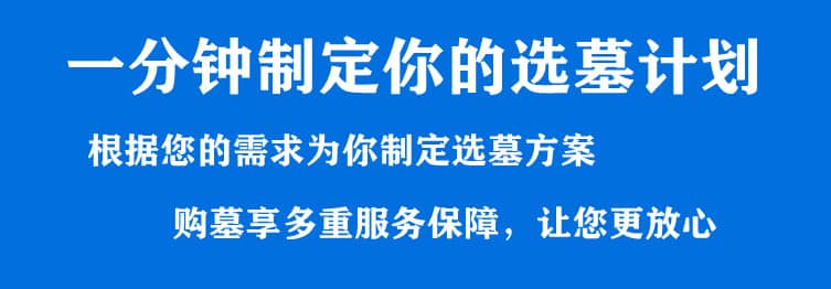 購墓指導(dǎo)、方案策劃
