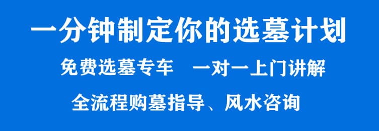 購墓指導、方案策劃