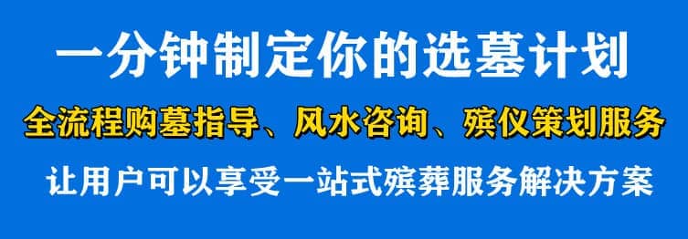 購(gòu)墓指導(dǎo)、方案策劃