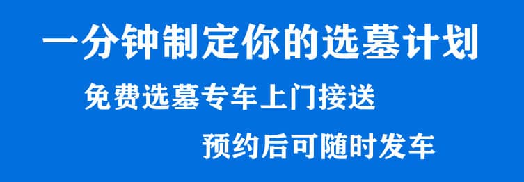 購墓指導(dǎo)、方案策劃