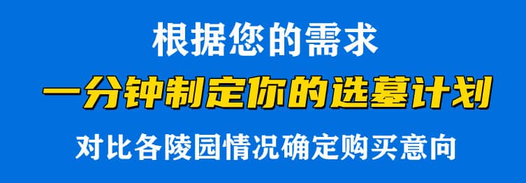 購墓指導(dǎo)、方案策劃
