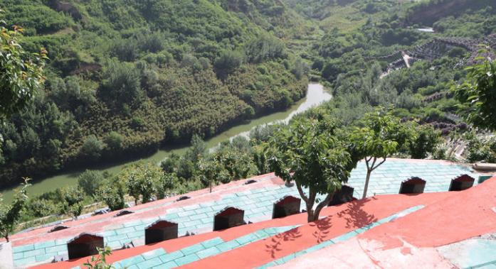西安壽陽(yáng)山墓園櫻花苑開售