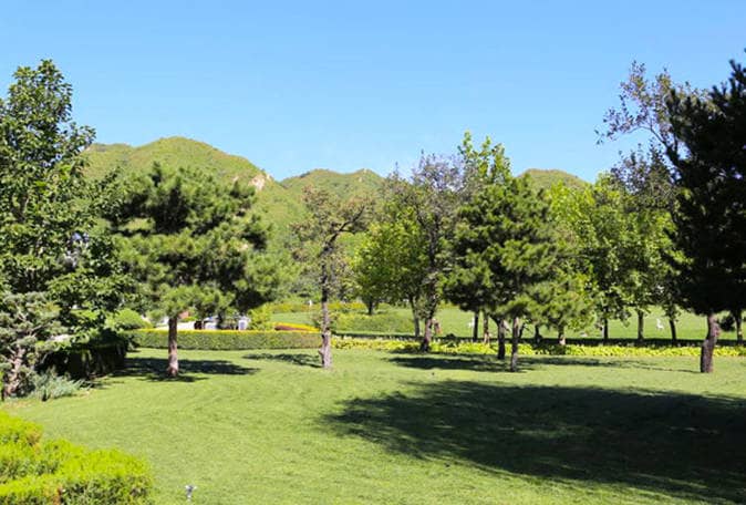 西安市南郊寢園管護(hù)中心是什么時(shí)候成立的，它隸屬于哪個(gè)機(jī)構(gòu)？