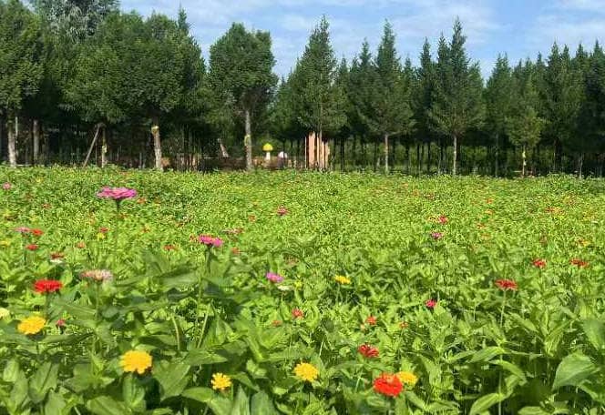 西安市奉正塬公墓介紹、圖片、電話