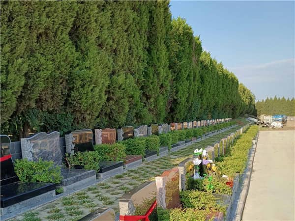 西安漢皇樹葬墓園的壁葬有哪些設(shè)計和價位選擇？