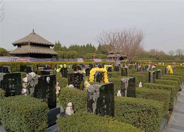 西安閻良漢皇樹葬墓園的環(huán)境和服務(wù)質(zhì)量如何，為何成為許多家庭選擇安息之地的理想之地？