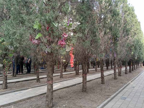 西安漢皇樹葬墓園如何體現(xiàn)綠色生態(tài)樹葬的理念？