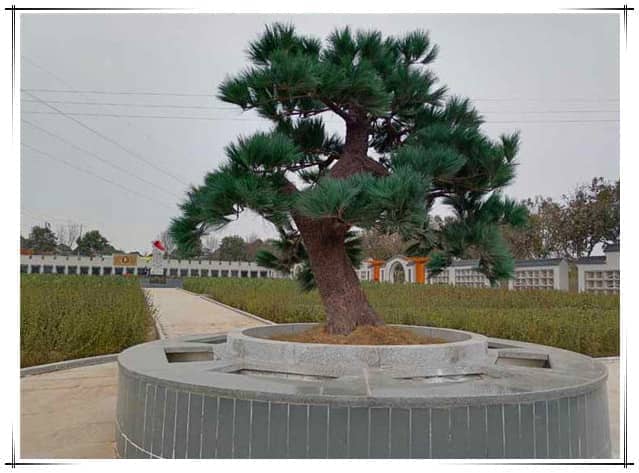 西安漢皇樹葬墓園的具體位置在哪里，其周邊環(huán)境如何？