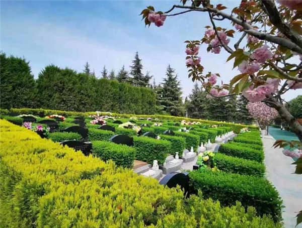 西安閻良漢皇樹(shù)葬骨灰公墓在園區(qū)設(shè)計(jì)和建筑風(fēng)格上有哪些獨(dú)特之處？