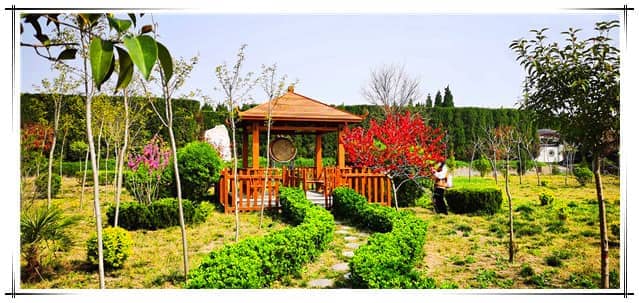 閻良區(qū)漢皇樹(shù)葬墓園的環(huán)境和服務(wù)如何？