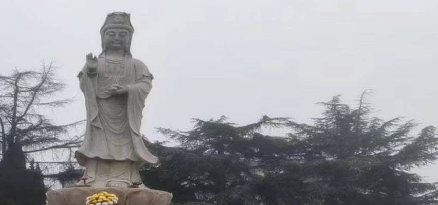 鳳棲山墓園南區(qū)：更新聯(lián)系方式，暢通服務(wù)通道