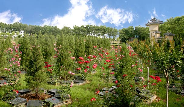 西安鳳棲山墓園的愛心園區(qū)域有哪些獨特之處