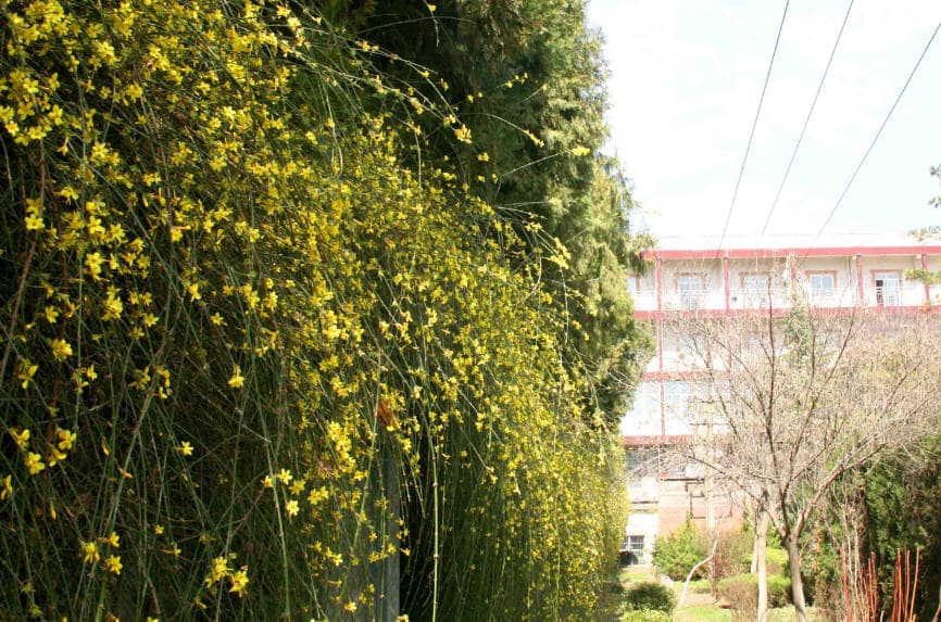 西安鳳棲山北區(qū)公墓辦事處