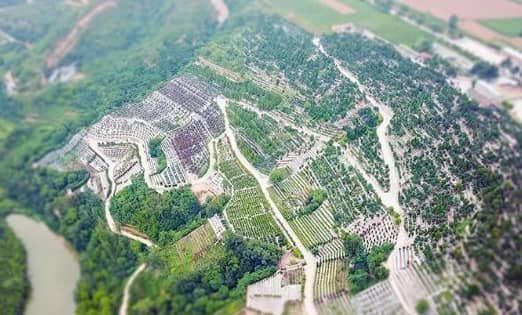 西安壽陽山墓園的環(huán)境和設(shè)施如何，以及它提供了哪些特色服務(wù)？