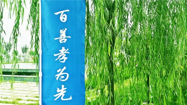 西安壽陽山墓園在重陽節(jié)期間如何幫助客戶寄托對故人的哀思？