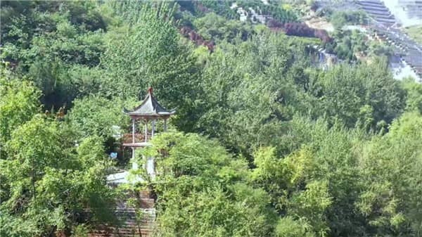 在西安公墓購買墓地的一般流程是什么？在選購過程中需要注意哪些事項？