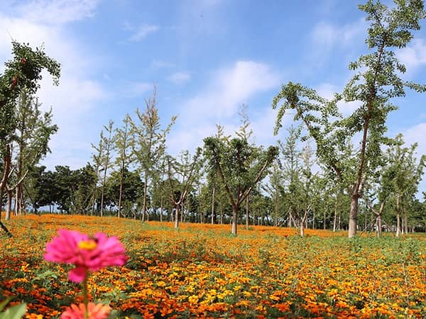 西安市壽陽山墓園聯(lián)系電話 西安壽陽山墓園下葬時間