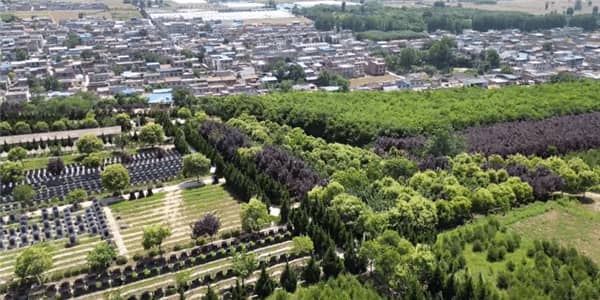 西安壽陽山墓園掃墓：尊重生命，緬懷逝者