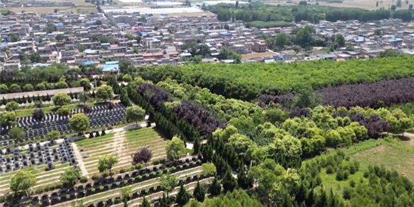 前往西安壽陽山公墓，除了公交車之外還有哪些便捷的交通方式？