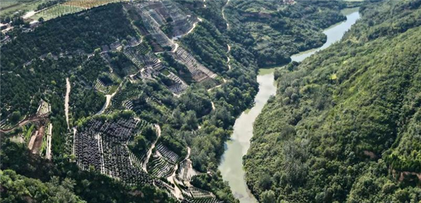 西安壽陽山墓園是否提供個性化服務(wù)？