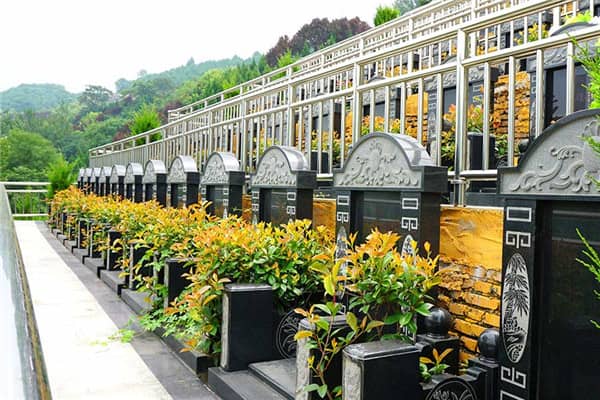 在壽陽山墓園，如果墓穴周圍的綠化出現(xiàn)了病蟲或枯死等問題，應(yīng)該如何處理？