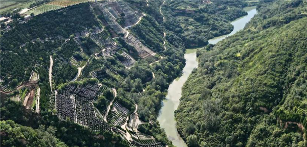 如果我選擇自駕前往西安壽陽山公墓，有哪些比較便捷的路線可以選擇，各自的特點(diǎn)是什么？