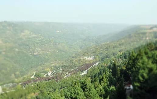 西安壽陽山墓園免費(fèi)擺渡車
