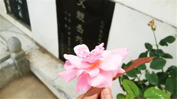西安壽陽(yáng)山墓園的安葬流程是怎樣的？有哪些關(guān)鍵環(huán)節(jié)需要注意？