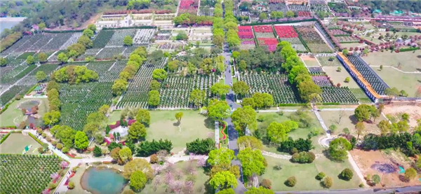 西安壽陽(yáng)山墓園的自然景觀有哪些獨(dú)特之處，如何影響人們的感受？