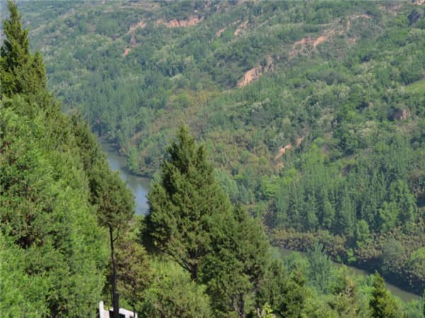 西安壽陽(yáng)山墓園提供了哪些類型的安葬方式，它們各自有何特點(diǎn)？
