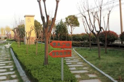 西安壽陽山墓地方向好嗎，善意追思