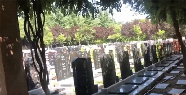鯨魚溝墓園距離西安的具體里程與交通建議