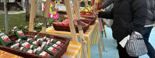 西安壽陽山公墓：深化殯葬改革，推行節(jié)地生態(tài)葬