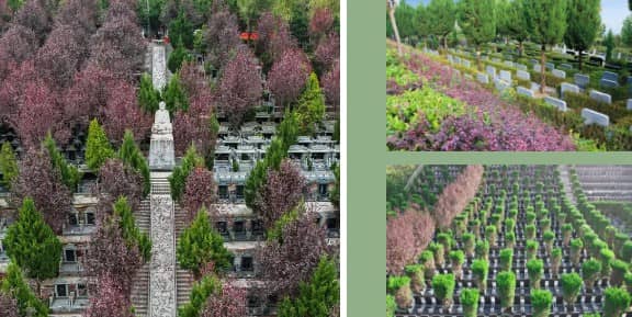 西安壽陽山墓園在中元節(jié)期間有哪些傳統(tǒng)的節(jié)日習俗活動？