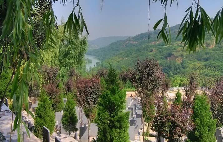 在西安壽陽山墓園選擇墓地并辦理相關(guān)手續(xù)的具體流程是什么？