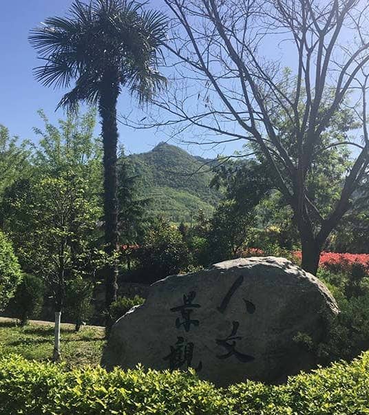 金南山陵園和慈恩園墓地分別位于西安的哪些區(qū)域，各自有哪些特色？