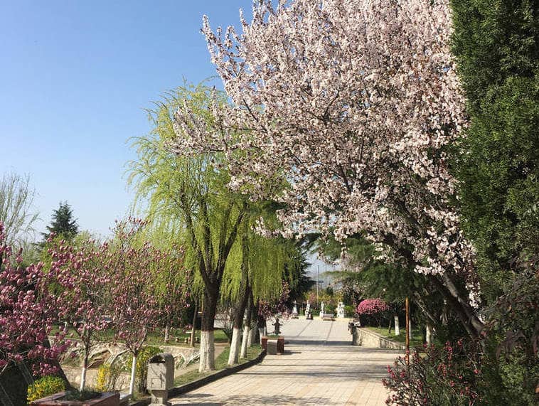西安慈恩園墓園高清照片欣賞：環(huán)境、設(shè)施與墓碑風(fēng)格一覽