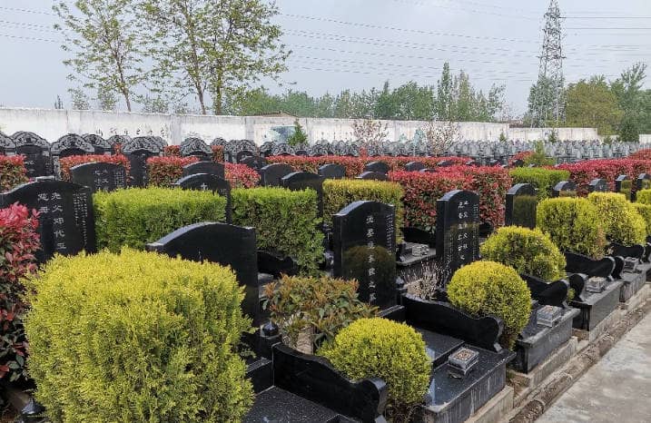 長(zhǎng)安區(qū)棗園山生態(tài)人文紀(jì)念園的背景與特色是什么？