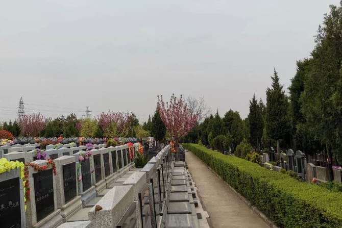 清明節(jié)期間，如何預(yù)約進入棗園山墓進行祭掃活動？