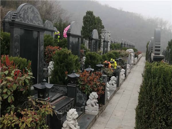 西安九龍山公墓在推出優(yōu)惠政策和活動(dòng)時(shí)，是否會(huì)考慮客戶的特殊需求？