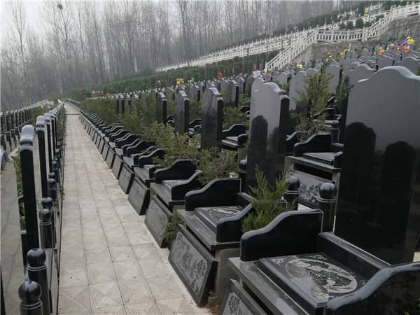 九龍山公墓是否提供骨灰寄存服務(wù)，如何辦理相關(guān)手續(xù)？